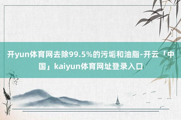 开yun体育网去除99.5%的污垢和油脂-开云「中国」kaiyun体育网址登录入口